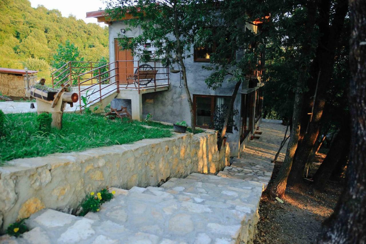 Donkey Farm Martinici - Farma Magaraca Martinici Bed and Breakfast Danilovgrad Exteriör bild